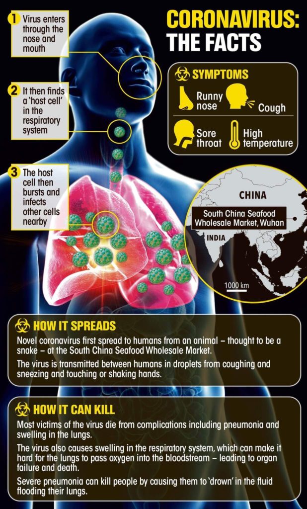 lây nhiễm virus corona