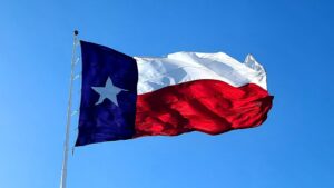 Hướng Dẫn Đăng Ký Thi Nail Texas Bằng Tiếng Việt Qua PSI