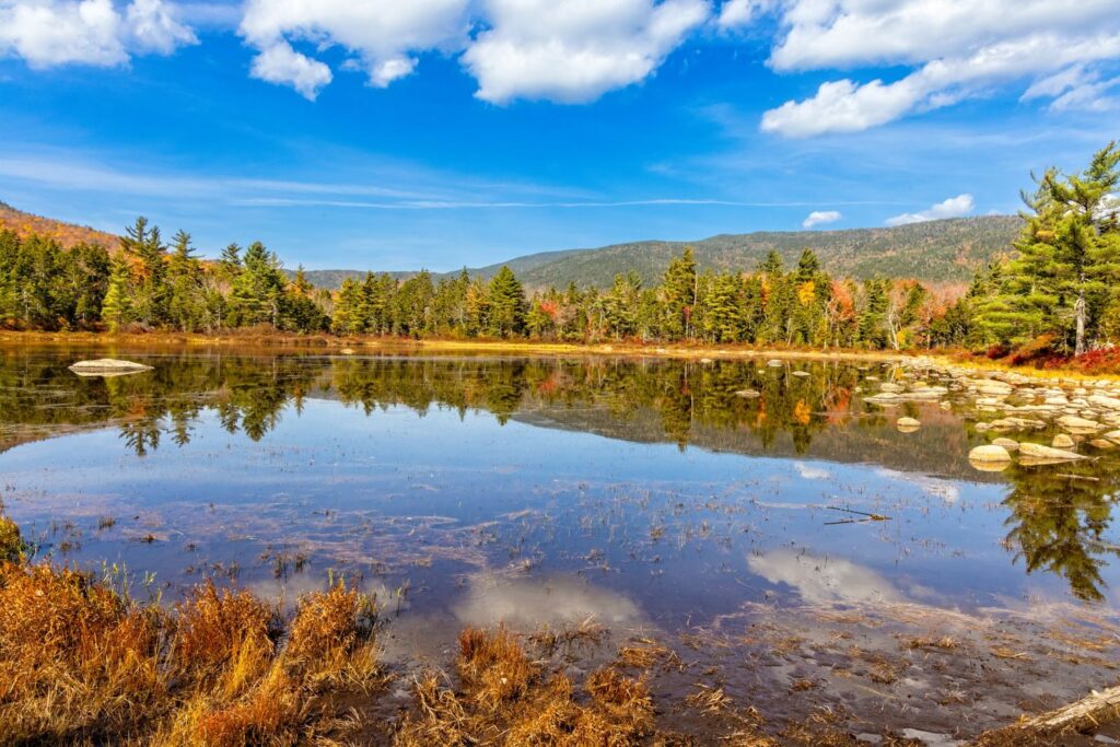 Hồ nước và cây lá mùa thu ở Lincoln, New Hampshire