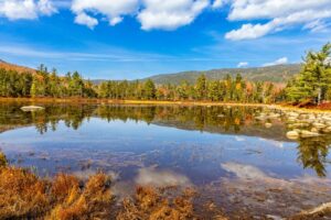 Hồ nước và cây lá mùa thu ở Lincoln, New Hampshire