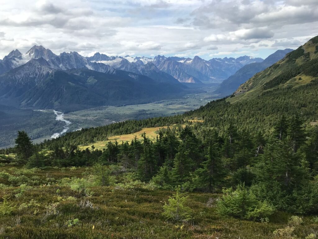 Núi và rừng xanh tại Haines, Alaska