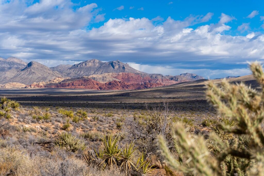Dãy núi Red Rock Canyon và cây bụi trên vùng đất khô ở Nevada
