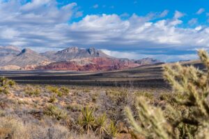 Dãy núi Red Rock Canyon và cây bụi trên vùng đất khô ở Nevada