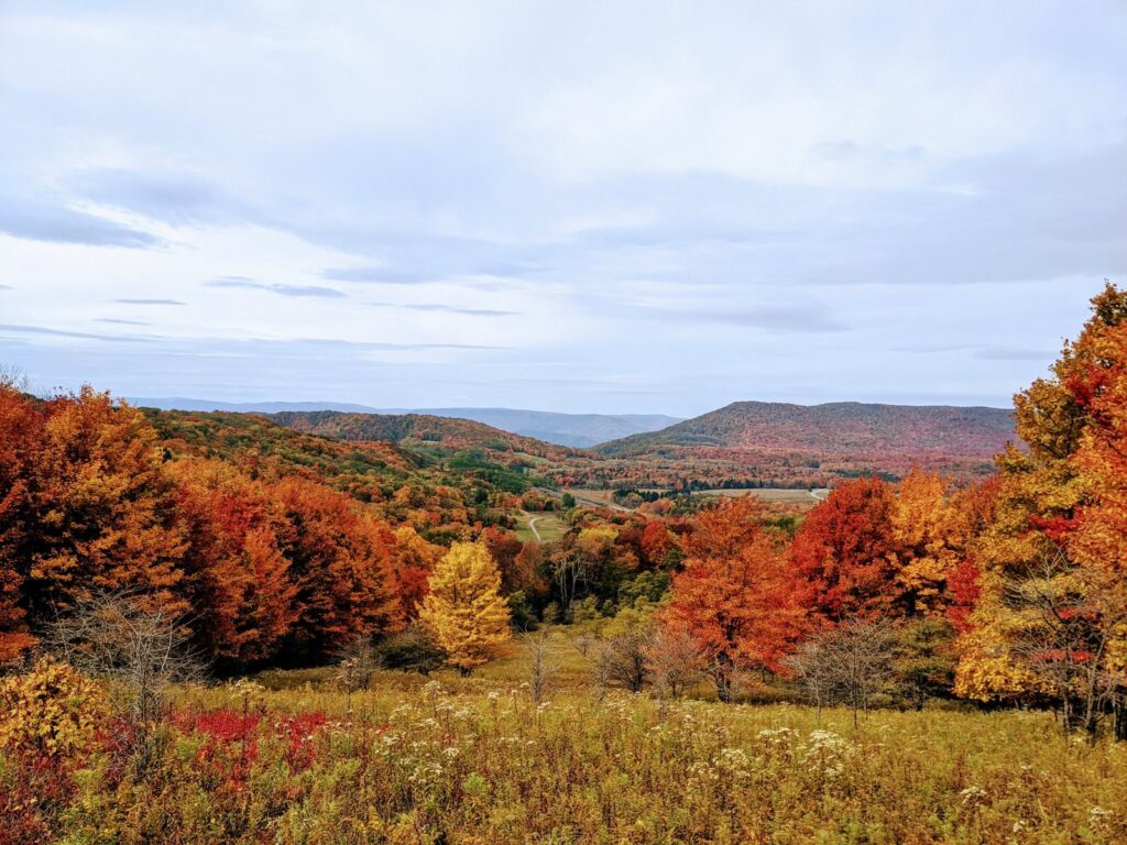 Những ngọn đồi phủ cây lá mùa thu ở Davis, West Virginia