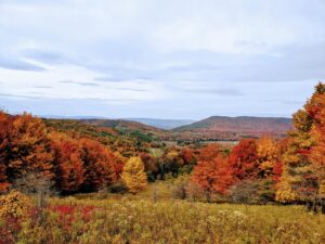 Những ngọn đồi phủ cây lá mùa thu ở Davis, West Virginia