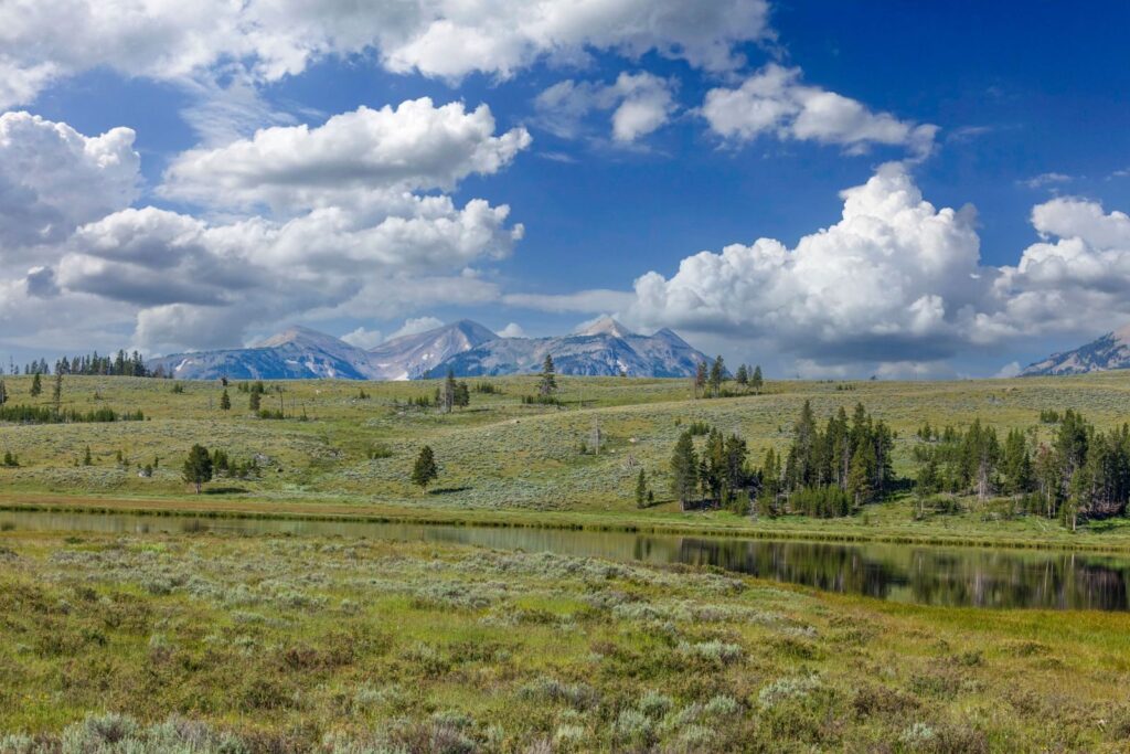 Đồng cỏ và dãy núi tại Wyoming dưới trời xanh